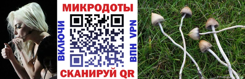 Псилоцибиновые грибы мицелий  Завитинск 